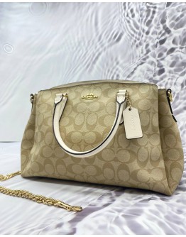 Coach signature mini sage on sale carryall